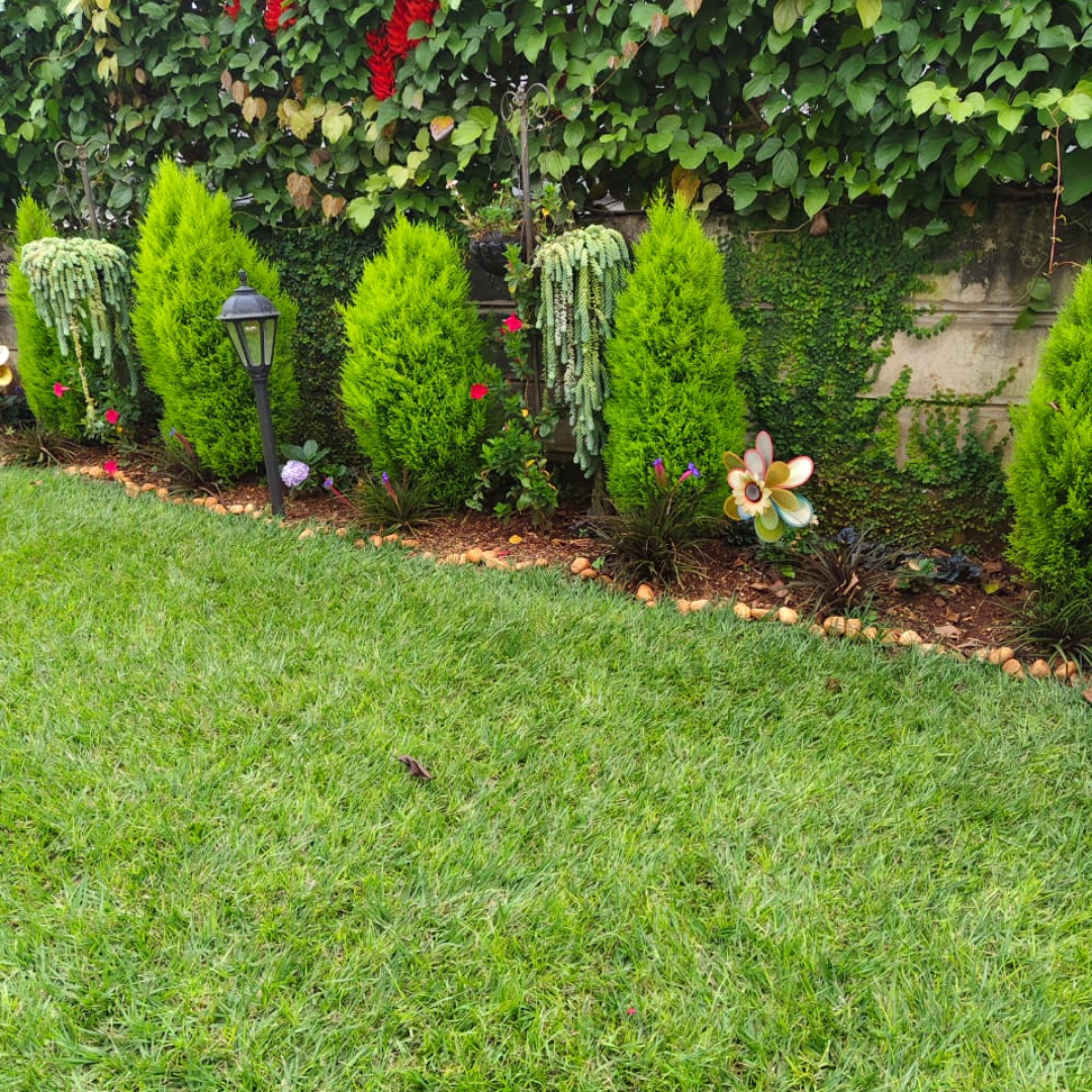 10 Landscaping Mistakes to Avoid in Your Home Garden in 2025