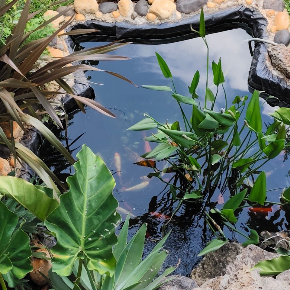 WhatsApp Image 2025-05-28 at 10.50.37 PM