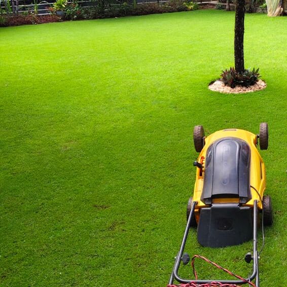 WhatsApp Image 2025-05-28 at 10.50.56 PM